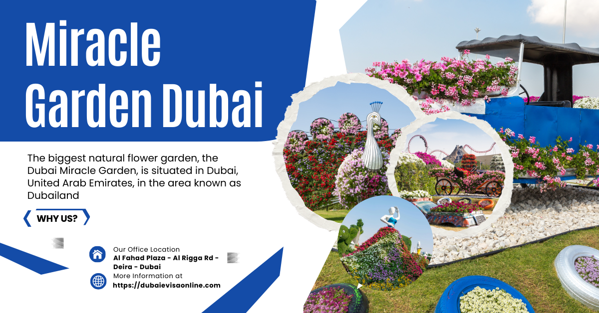 dubai miracle garden guide: tickets, timings, attractions