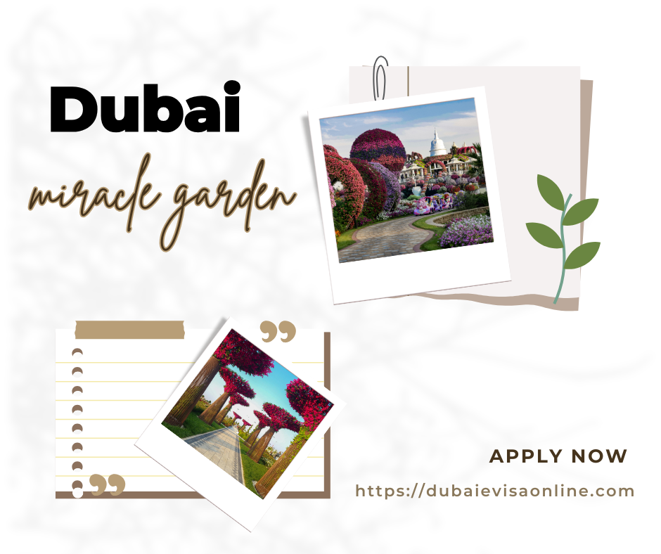 dubai miracle garden guide: tickets, timings, attractions